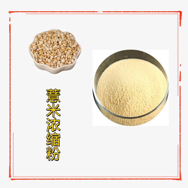 薏米仁浓缩粉 植物萃取 粉末均匀 流动性好 纸板桶包装