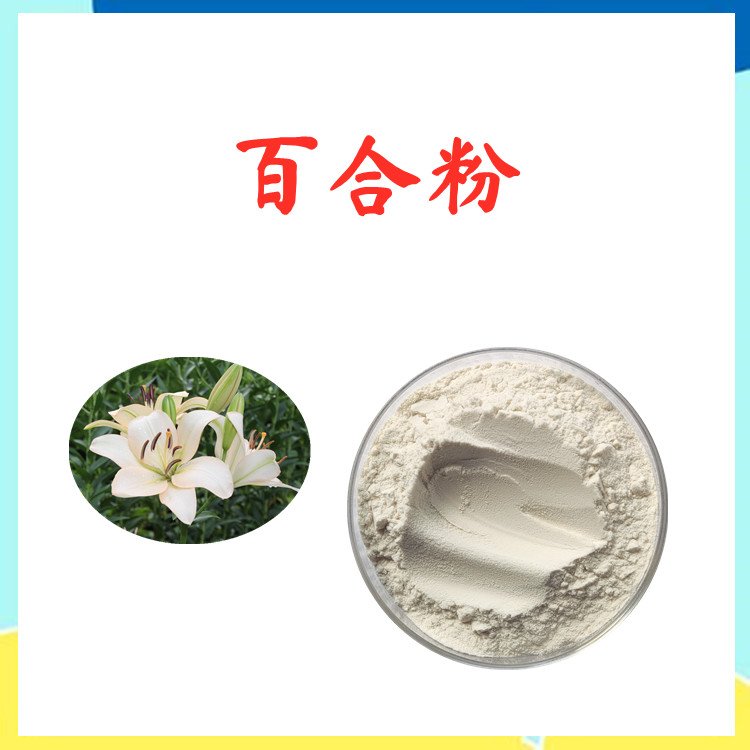百合粉 百合浓缩粉 源头供应 精选原料 粉末细腻 全水溶