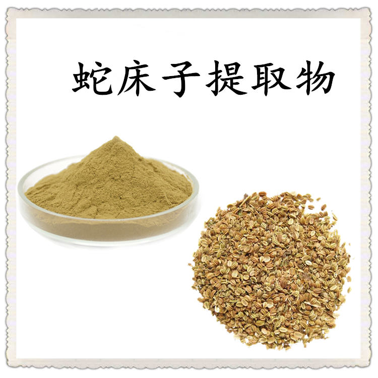 蛇床子提取物 植物萃取 粉末均匀 无肉眼可见杂质