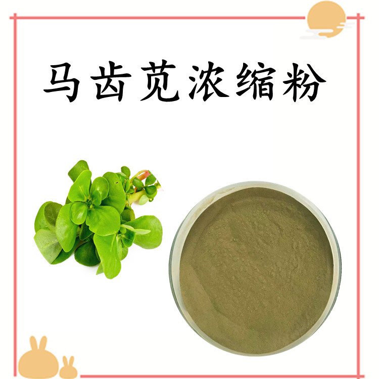 马齿觅浓缩粉 多规格比例浓缩提取 现货包邮 可定制