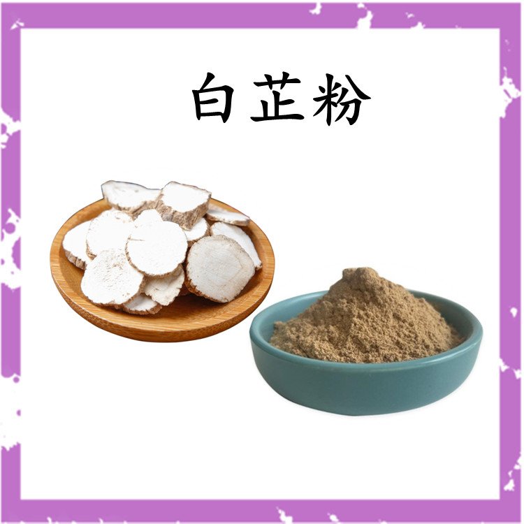 白芷粉 斯诺特生物 十余年植提厂家 第三方检测合格