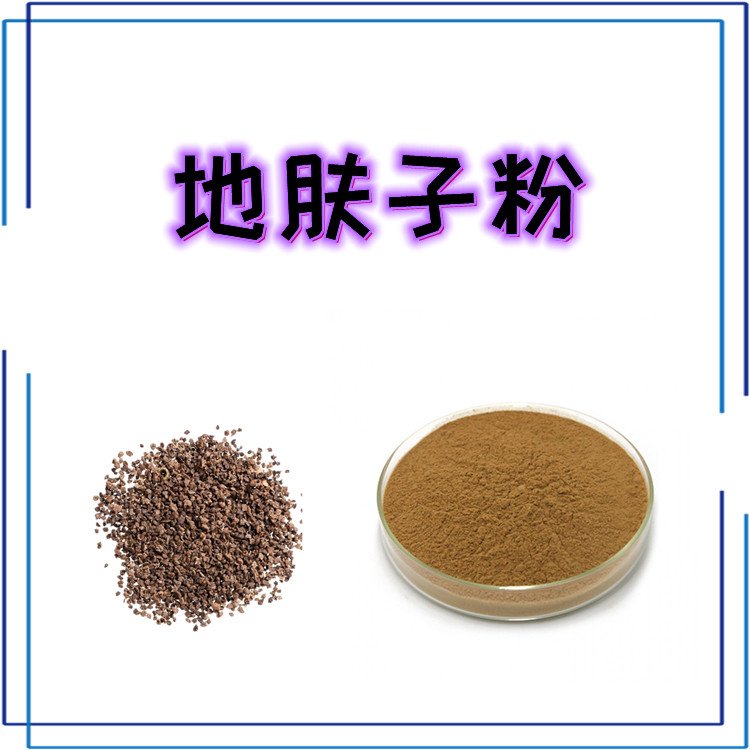 地肤子粉 粉末均匀无结块 品质优良 库存充足