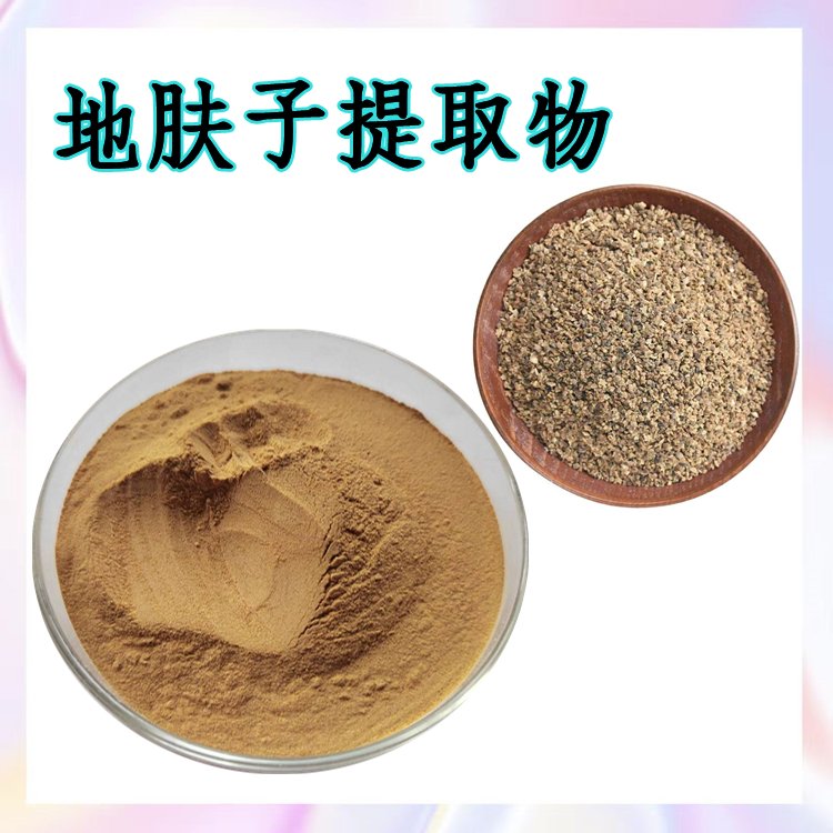 地肤子提取物 源头供应 规格多种 资质齐全 纸板桶包装