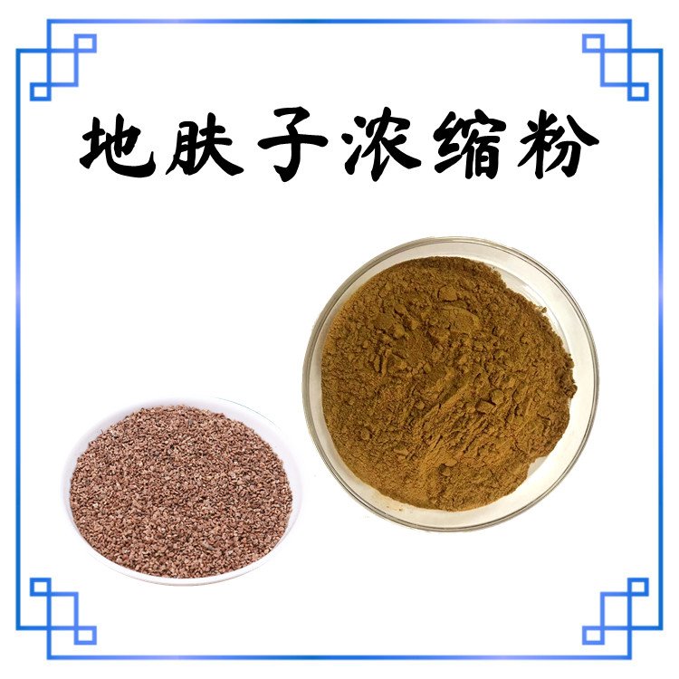 地肤子浓缩粉 随货带报告 纸板桶包装 资质齐全