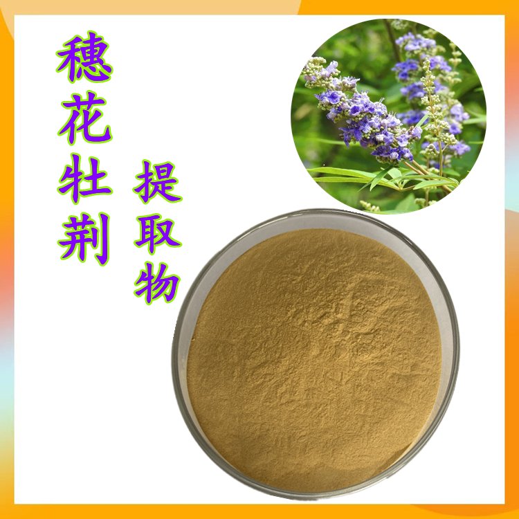 穗花牡荆浓缩粉 源头厂家 资质齐全 随货带报告