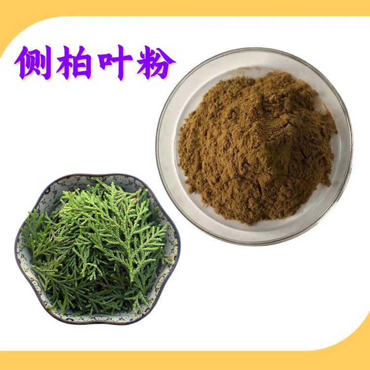 侧柏叶粉 自有种植基地 植物厂家 规格多种 现货包邮
