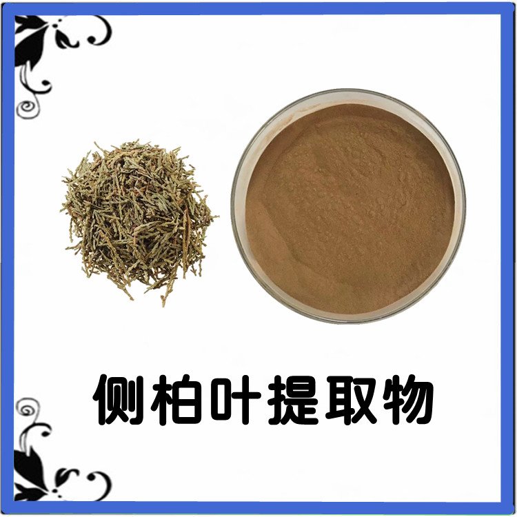 侧柏叶提取物 植物萃取 经验丰富 库存充足 长期供应