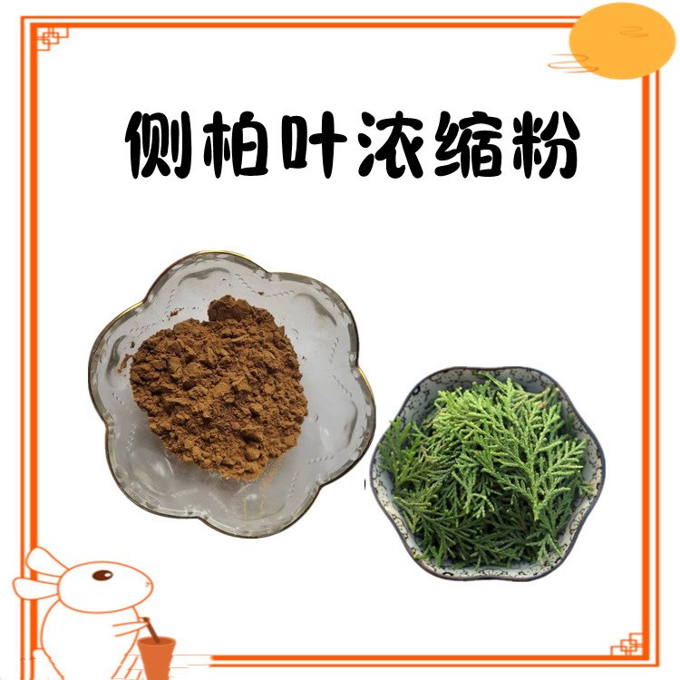 侧柏叶浓缩粉 粉末细腻 全水溶无结块 资质齐全 含税含运