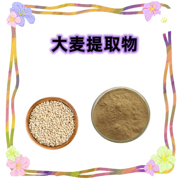 大麦浓缩粉 植物萃取 粉末流动性好 纸板桶包装 随货带报告