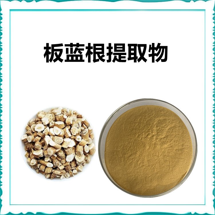 板蓝根提取物 斯诺特生物 支持拿样 多规格提取