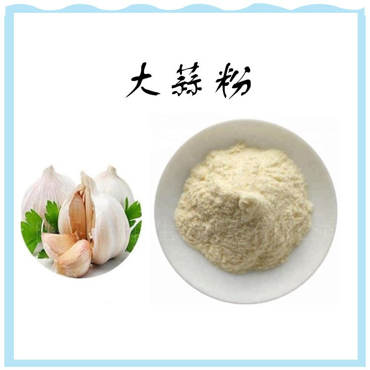 大蒜粉 斯诺特生物 源头厂家 资质齐全 现货包邮