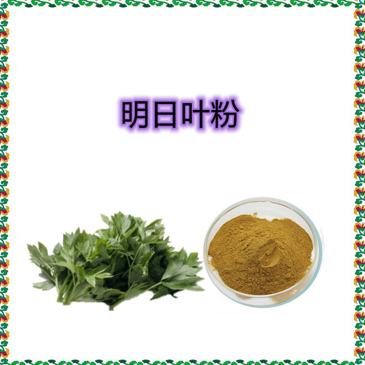 明日叶粉 斯诺特工厂 源头供应 现货包邮 随货带报告
