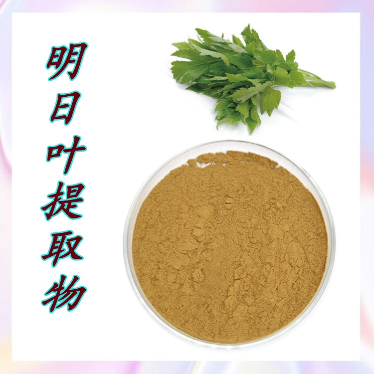 明日叶提取物 精选原料 浓缩萃取 规格齐全 含税含运