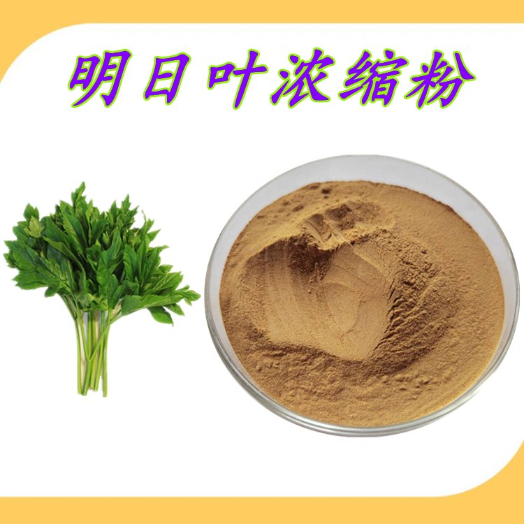 明日叶浓缩粉 粉末流动性好  全水溶无沉淀 资质齐全