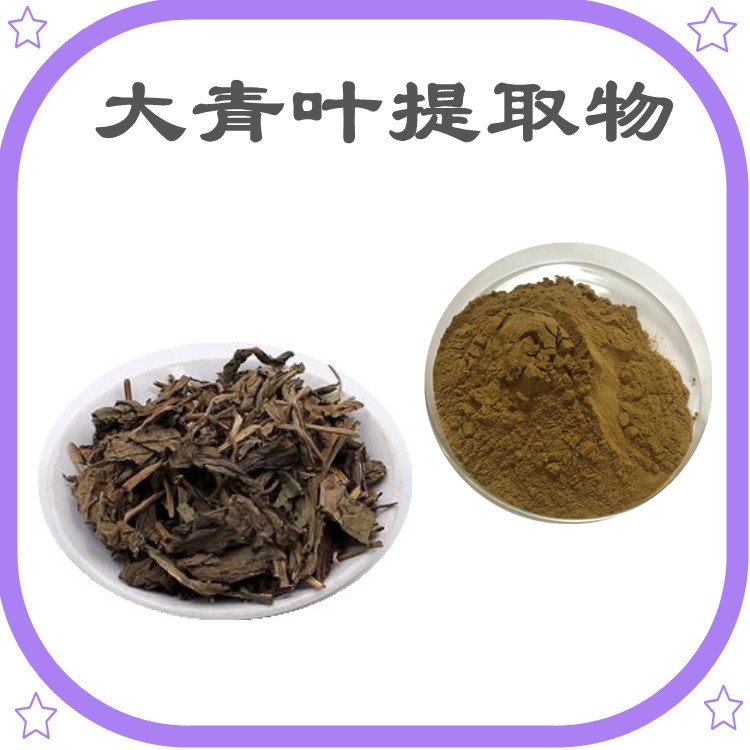 大青叶提取物 斯诺特生物 多比例浓缩萃取 现货包邮