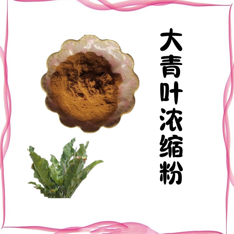 大青叶浓缩粉 植物萃取 浓缩粉末 水溶性好 可定制