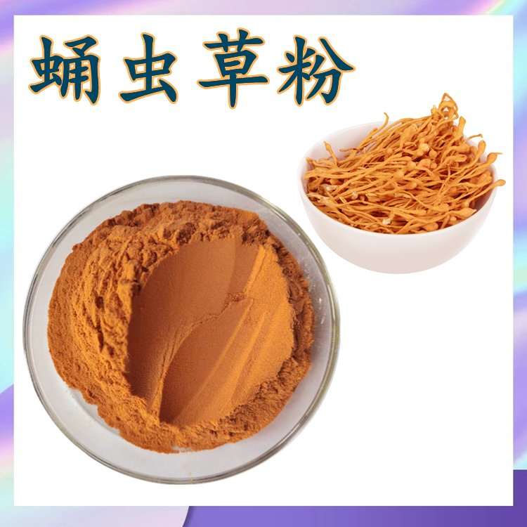 蛹虫草粉 常规提取 多种规格 水提供应 可按需定制