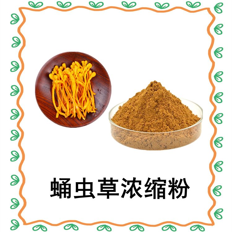 蛹虫草浓缩粉喷雾干燥工艺 水溶无杂质  随货带报告