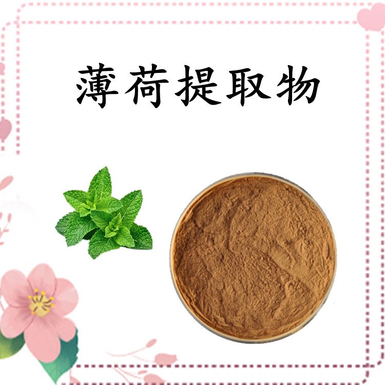 斯诺特生物 薄荷提取物 多规格提取 品质优良 含税含运