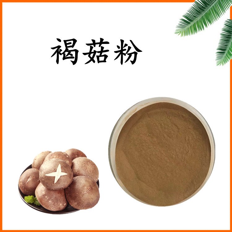 褐菇粉 斯诺特生物 粉末细腻 溶解度好 多规格 可定制