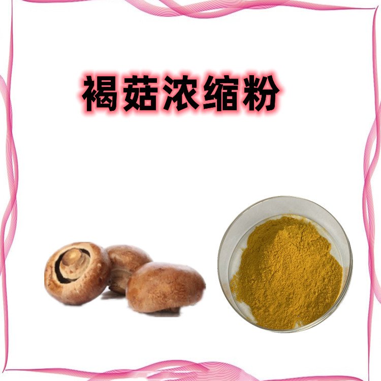 褐菇浓缩粉 不添加任何防腐剂 规格齐全 随货带报告