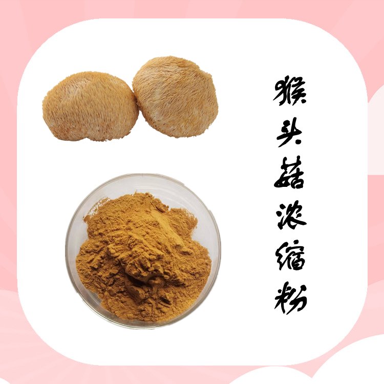 猴头菇浓缩粉 斯诺特生物 SC认证 纸板桶包装 含税含运