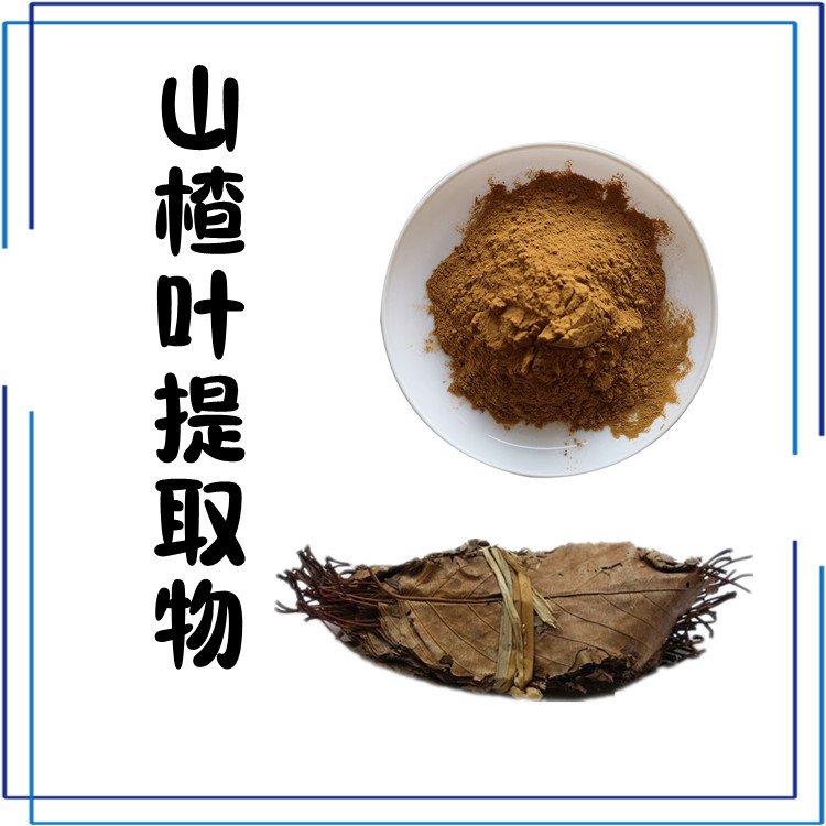山楂叶提取物 浓缩粉末 库存充足 纸板桶包装 可定制
