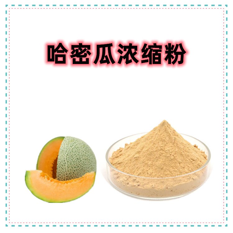 斯诺特生物 哈密瓜浓缩粉 不添加任何防腐剂 随货带报告