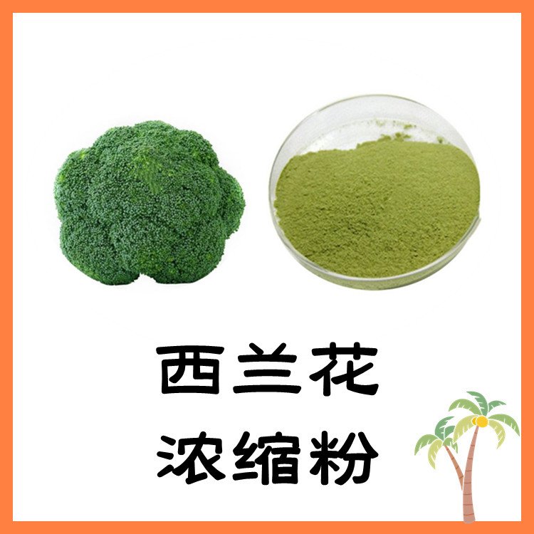 西兰花浓缩粉 植提厂家 资质齐全 随货带报告