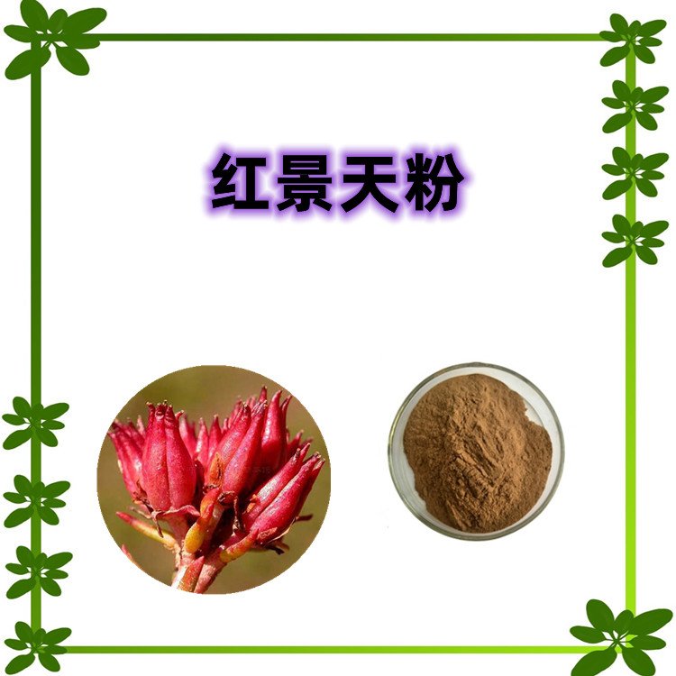 红景天粉 粉质细腻 无结块 附带质检报告 含税含运