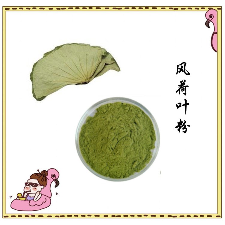 风荷叶粉 斯诺特生物供应 全水溶无结块 纸板桶包装