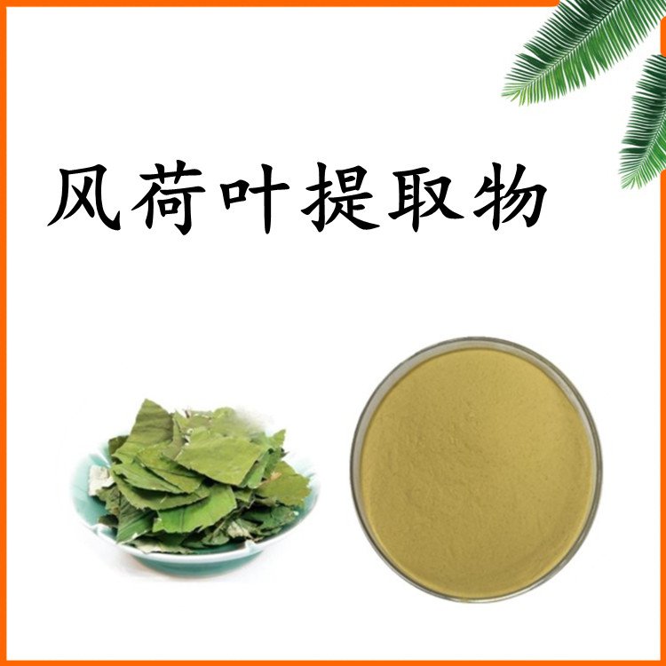 风荷叶提取物 多规格可定制 不添加任何防腐剂 资质齐全