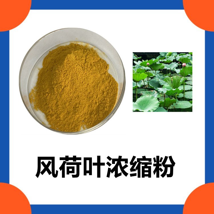 风荷叶浓缩粉 精选原料 植物萃取 源头供应 水溶性好