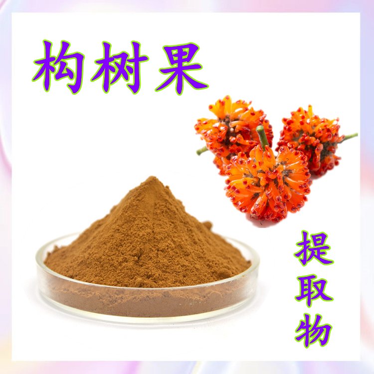 构树果提取物 斯诺特生物 支持拿样 水溶可定制 包邮