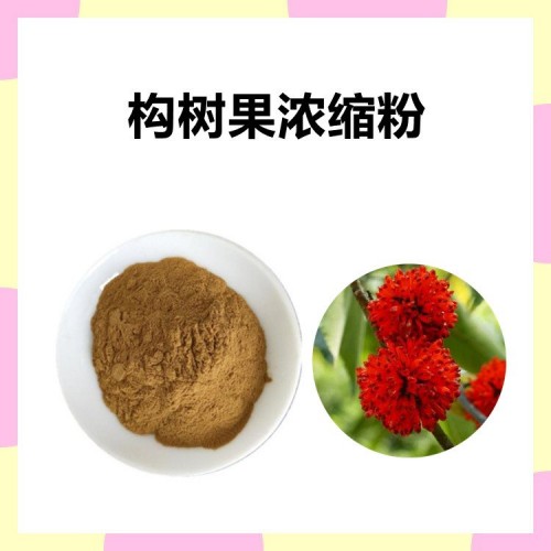 构树浓缩粉 水溶性果实萃取粉  无肉眼可见杂质 可定制