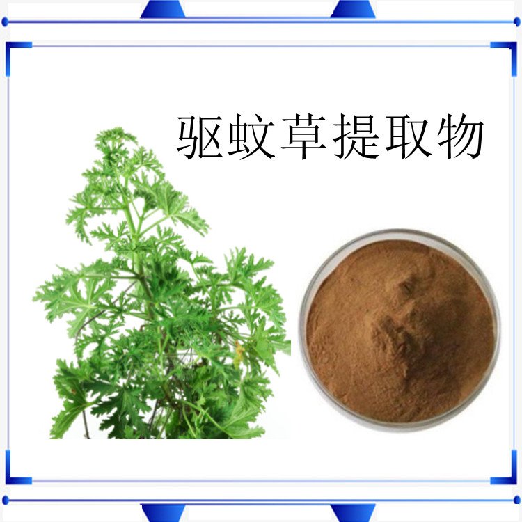 驱蚊草提取物 植提厂家 10余年植提经验 规格多种