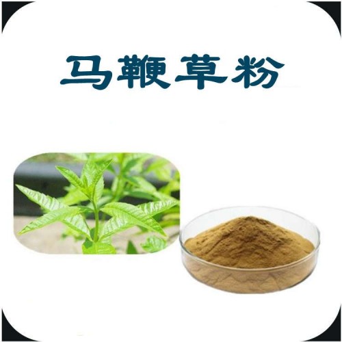 马鞭草粉 斯诺特生物 源头供应  多规格可定制 包邮