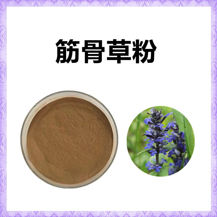 筋骨草粉 水溶性好 斯诺特生物 质量稳定 长期供应