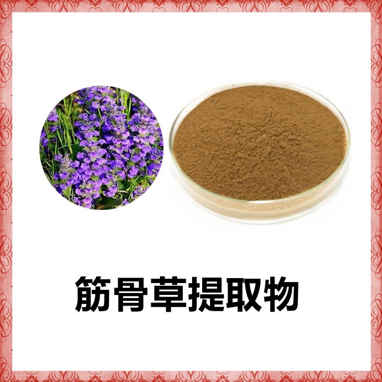 筋骨草提取物 精选原料 水提浓缩工艺 粉末细腻 含税含运