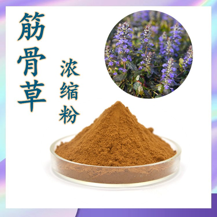 筋骨草提取物 含税含运 支持第三方检测  纸板桶包装
