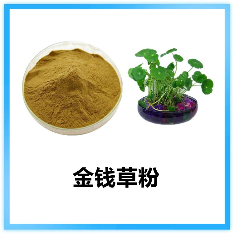 金钱草粉 斯诺特生物 自有工厂 可按需定制 库存充足