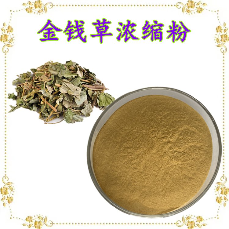 金钱草浓缩粉 源头供应 不添加任何防腐剂 纸板桶包装