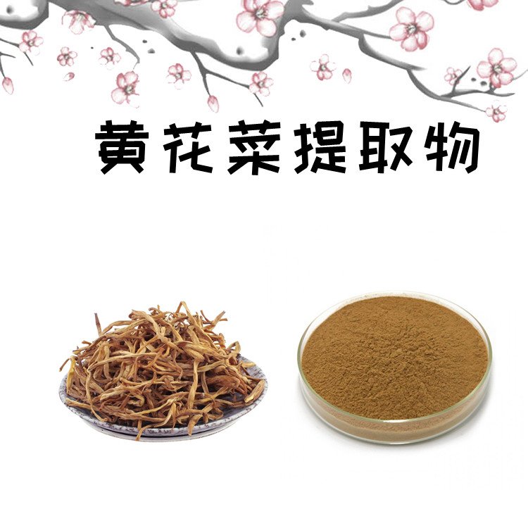 黄花菜提取物 粉质细腻 流动性好 品质优良 支持拿样