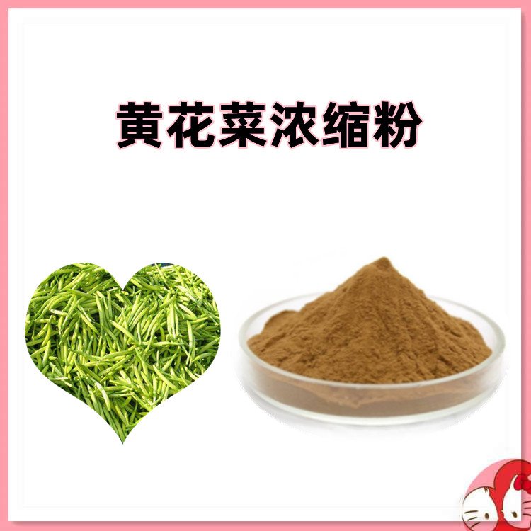 黄花菜浓缩粉 喷雾干燥工艺 水溶性好 资质齐全 随货带报告