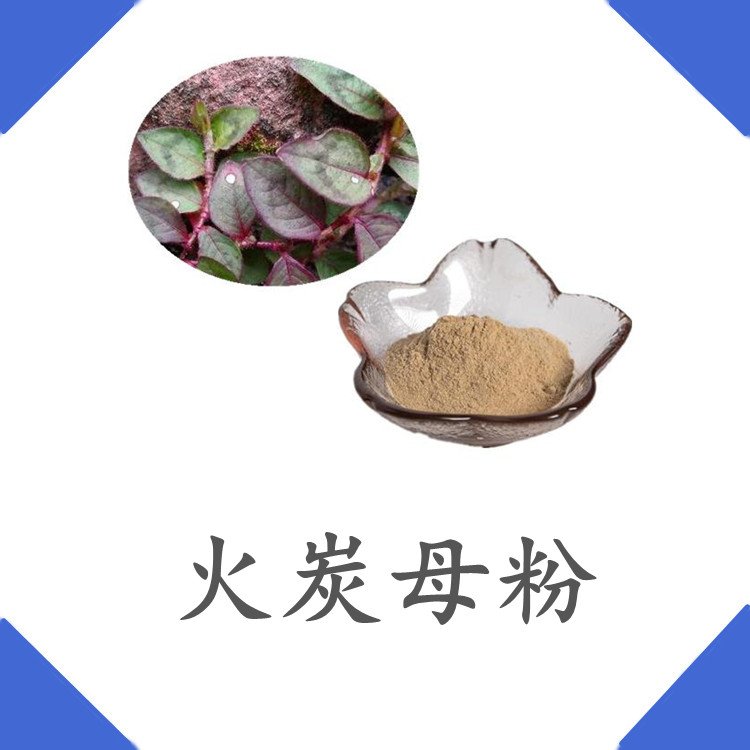 火炭母粉 精选原料 不添加任何防腐剂 浓缩粉末 含税含运