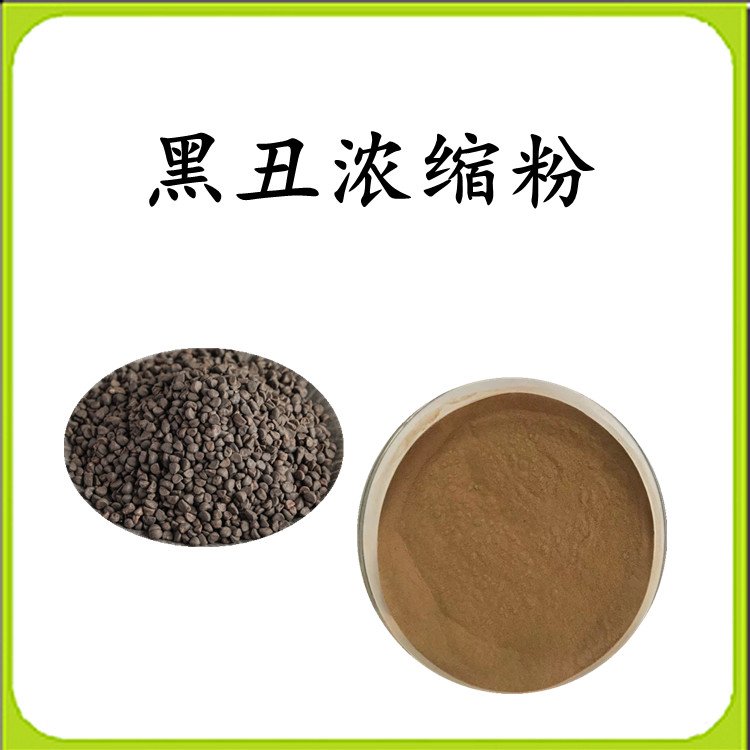 黑丑浓缩粉 牵牛花籽浓缩粉  水提浓缩工艺 粉末细腻