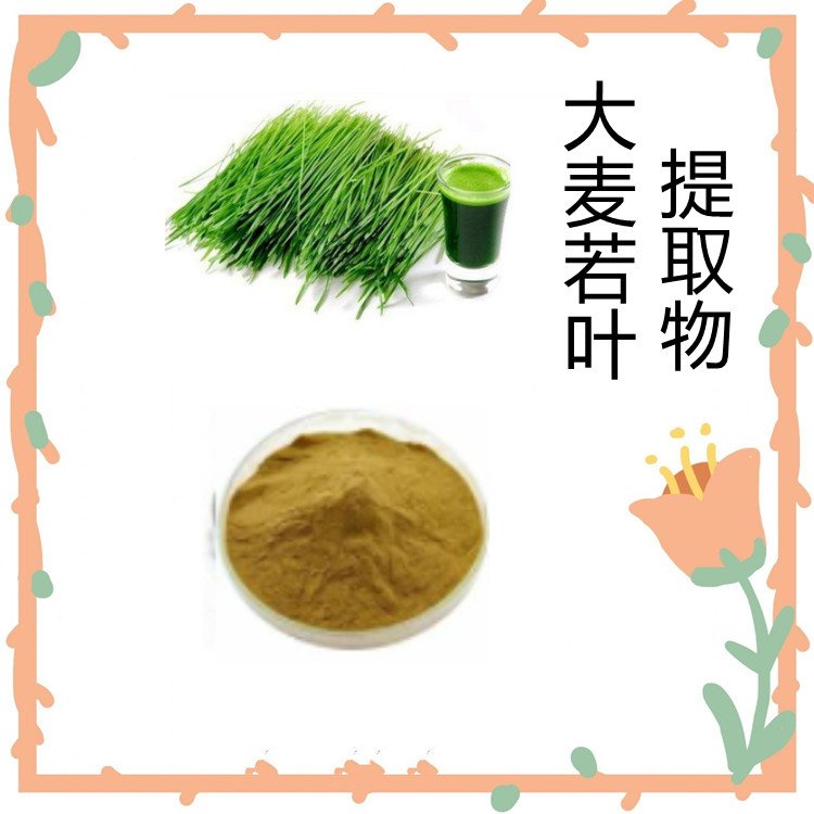 大麦若叶提取物 新鲜原料 自有种植基地 浓缩粉末 可定制