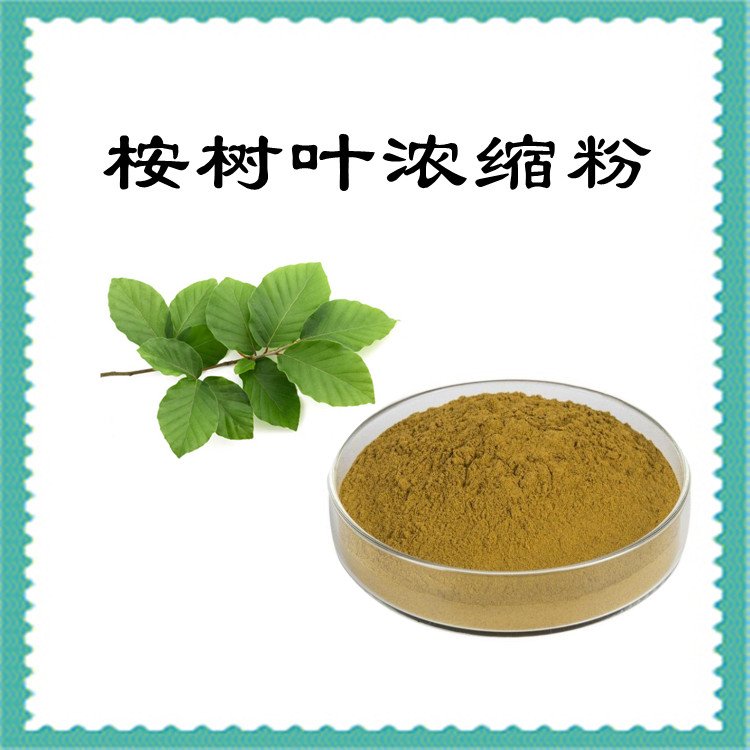 桉树叶浓缩粉 多比例浓缩粉末 1公斤起订 含税含运