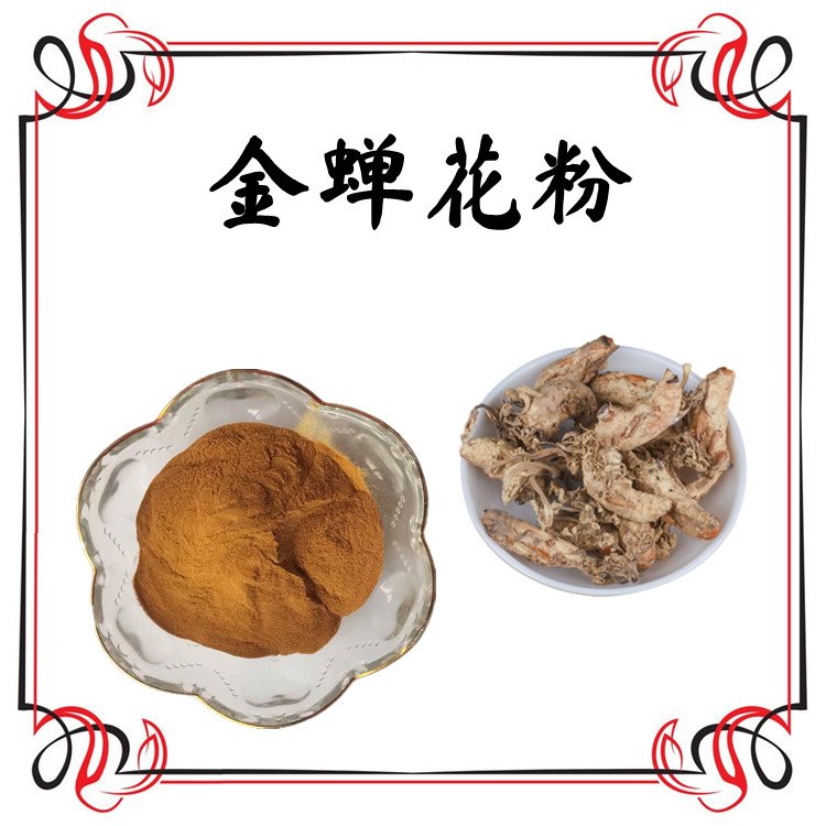 金蝉花粉 斯诺特生物 植提厂家 支持拿样 随货带报告