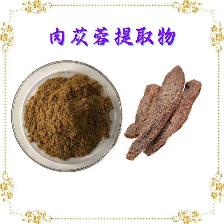 斯诺特生物 肉苁蓉提取物 可定制生产 水溶性好 包邮
